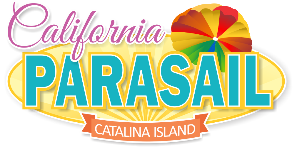 colorful parasailing company logo design
